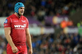 Tadhg Beirne_Scarlets
